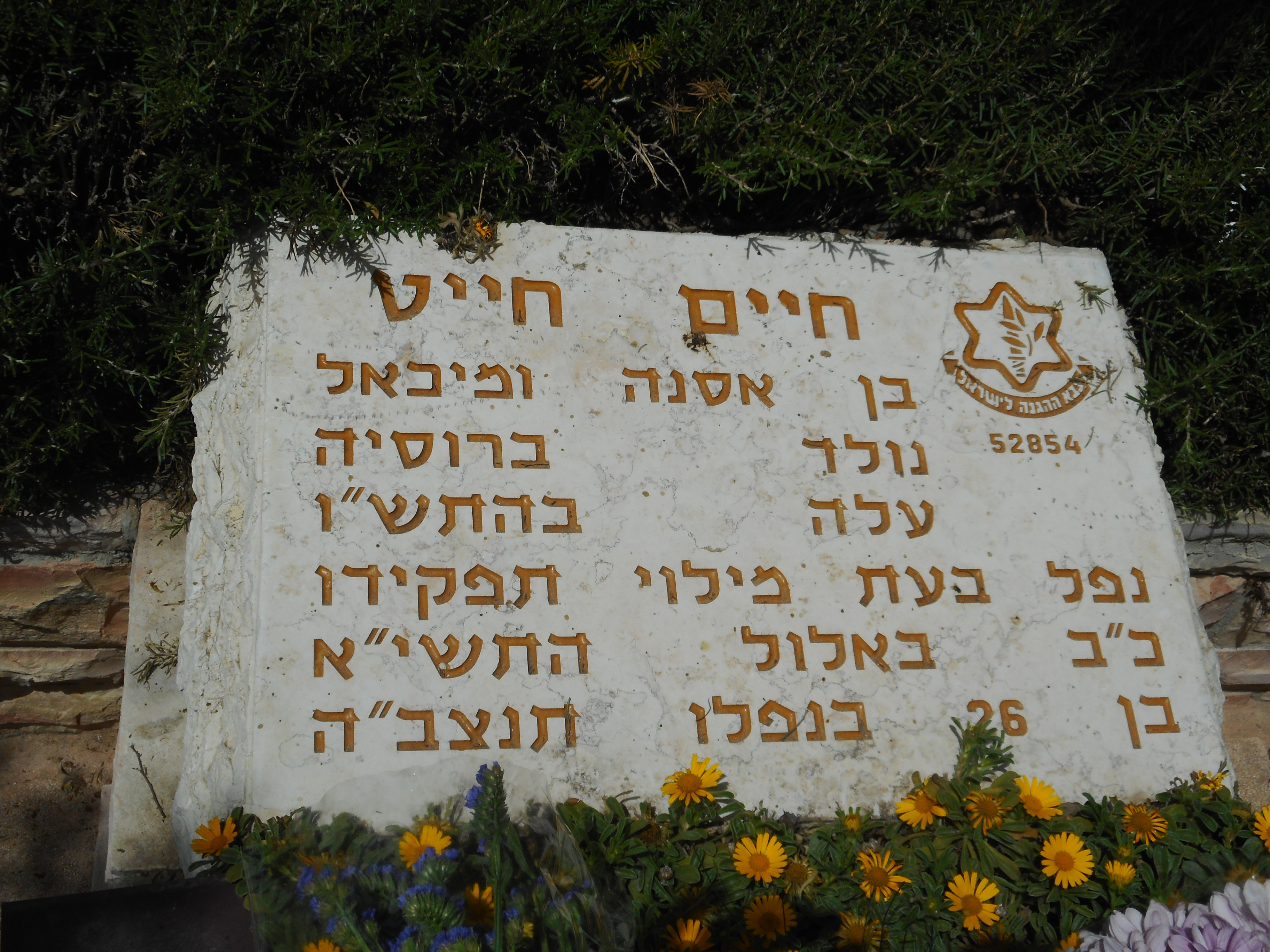 Photo from /search/photos/Israel/KEFAR WARBURG (MOSHAV) CEMETERY/chait_chaim.jpg